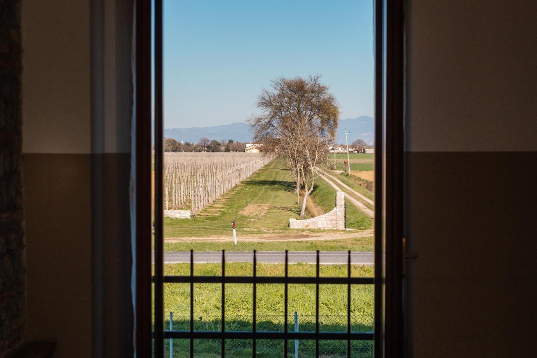Agriturismo Mulino Delle Tolle Bagnario Arsa Екстериор снимка
