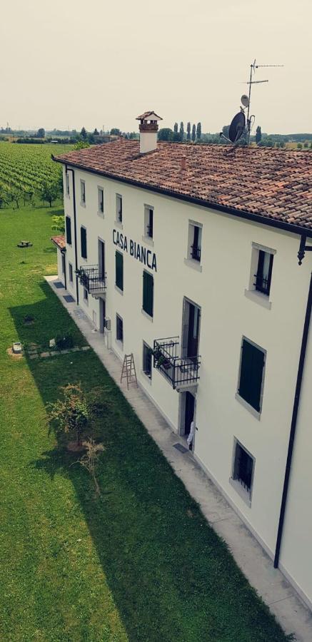 Agriturismo Mulino Delle Tolle Bagnario Arsa Екстериор снимка