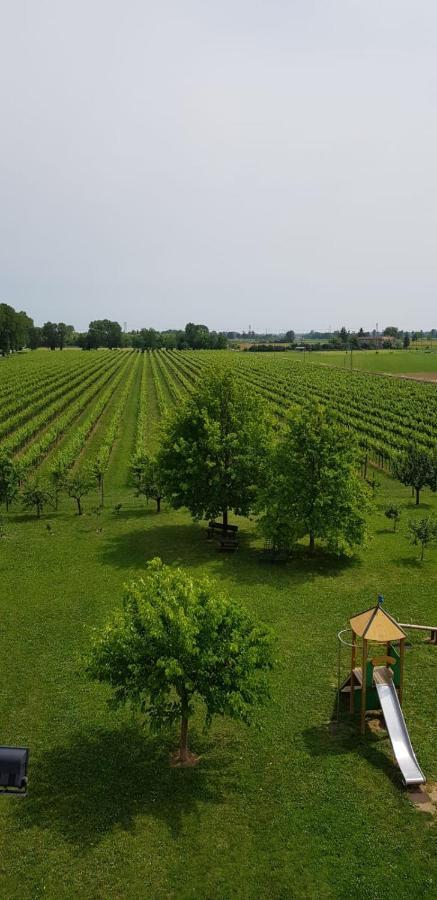 Agriturismo Mulino Delle Tolle Bagnario Arsa Екстериор снимка